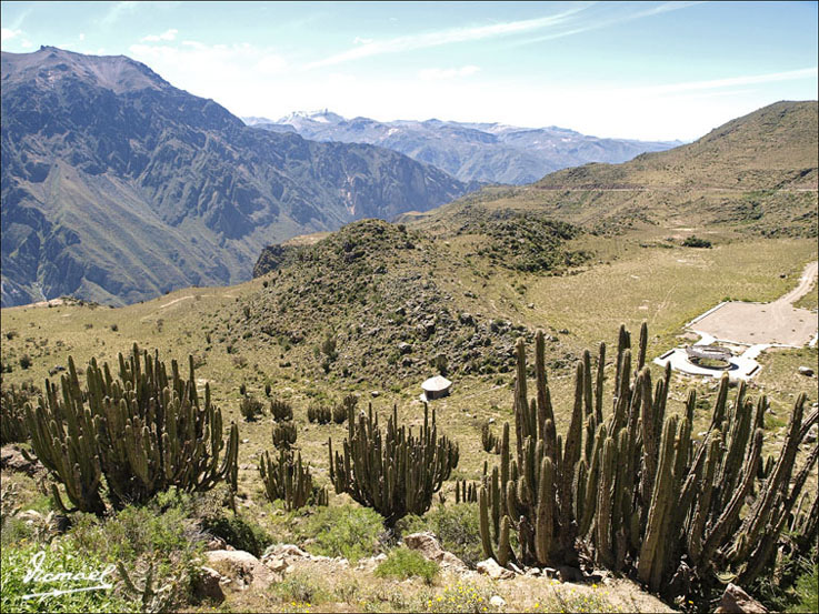 Foto de Colca, Perú