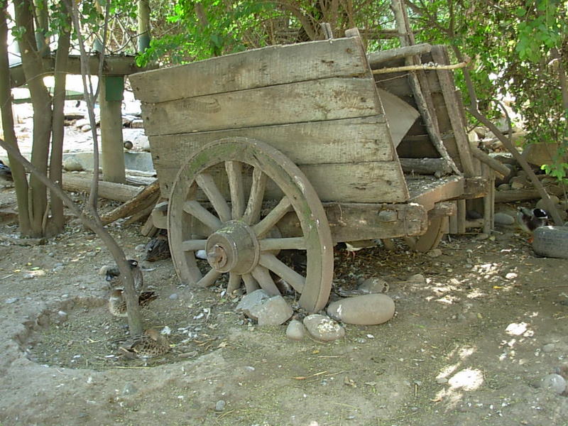 Foto de Buin, Chile