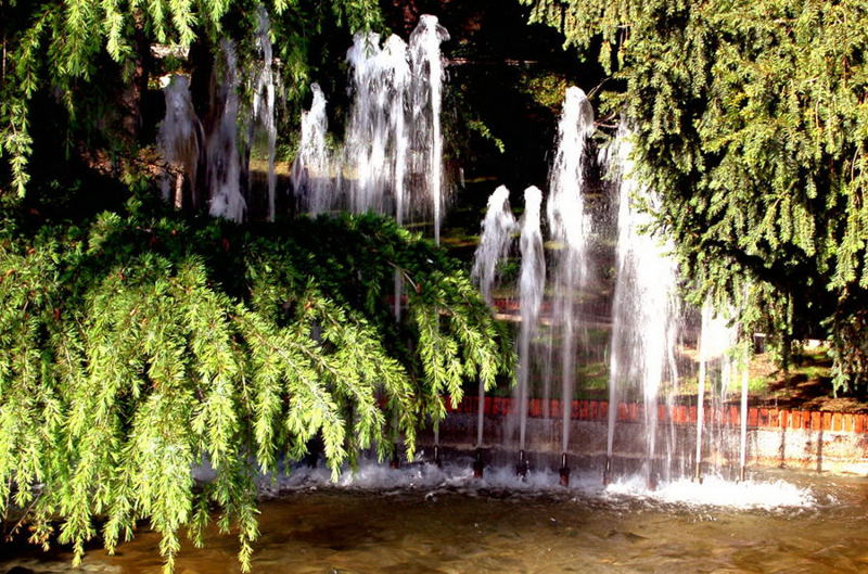 Foto de Madrid (Comunidad de Madrid), España