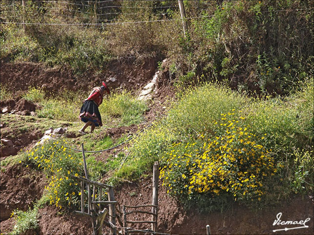 Foto de Awana Kancha, Perú