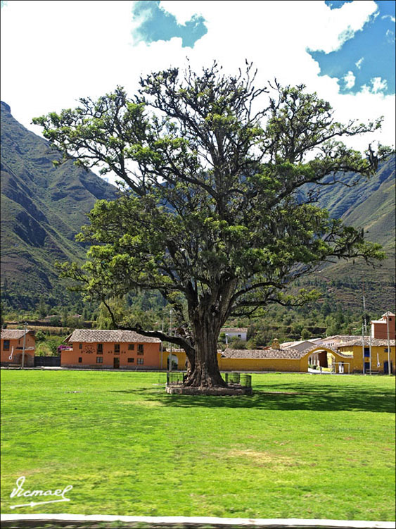 Foto de Urubamba, Perú