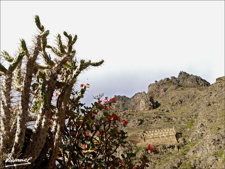 Foto de Ollantaytambo, Perú