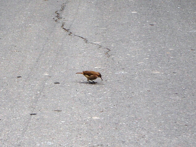 Foto de Buenos Aires, Argentina