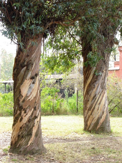 Foto de Buenos Aires, Argentina