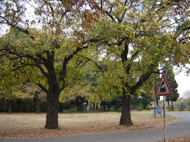 Foto de Buenos Aires, Argentina