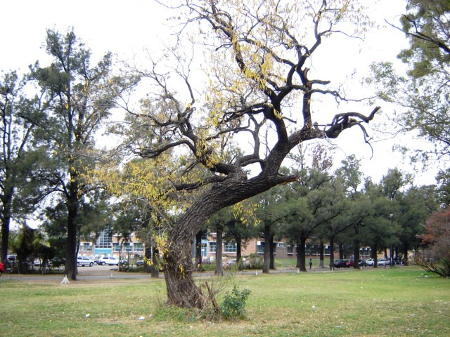 Foto de Buenos Aires, Argentina