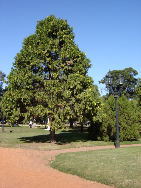 Foto de Buenos Aires, Argentina