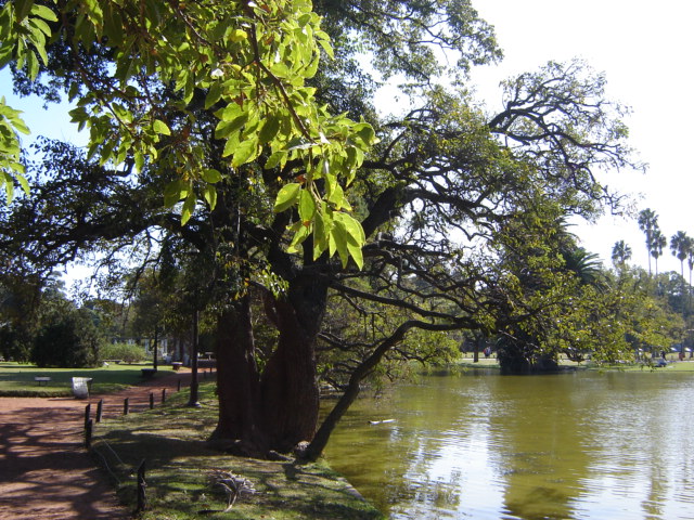 Foto de Buenos Aires, Argentina