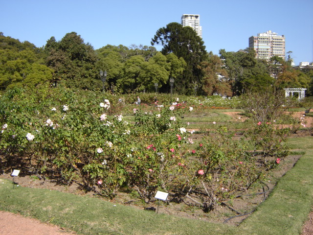 Foto de Buenos Aires, Argentina