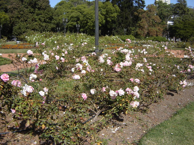 Foto de Buenos Aires, Argentina