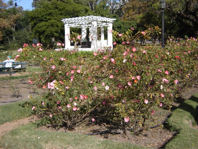 Foto de Buenos Aires, Argentina