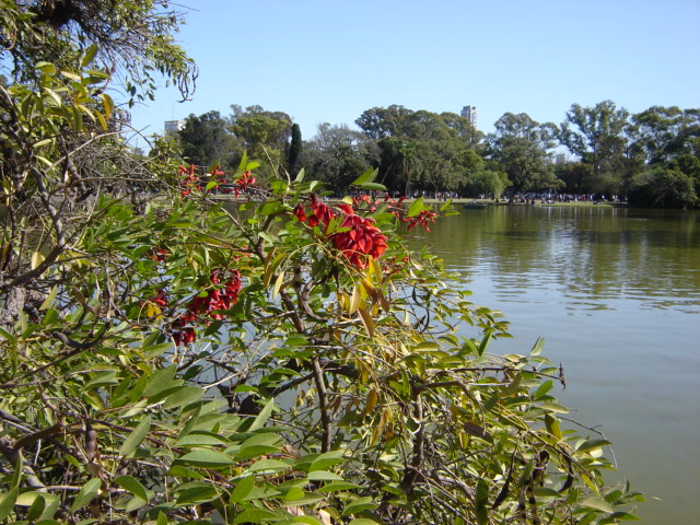 Foto de Buenos Aires, Argentina