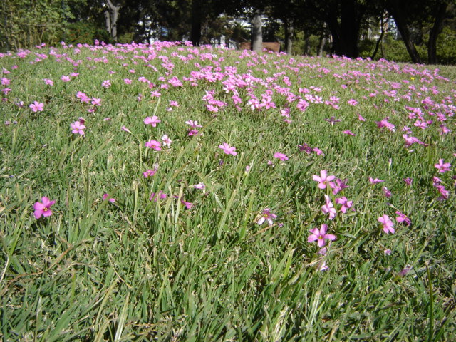 Foto de Buenos Aires, Argentina