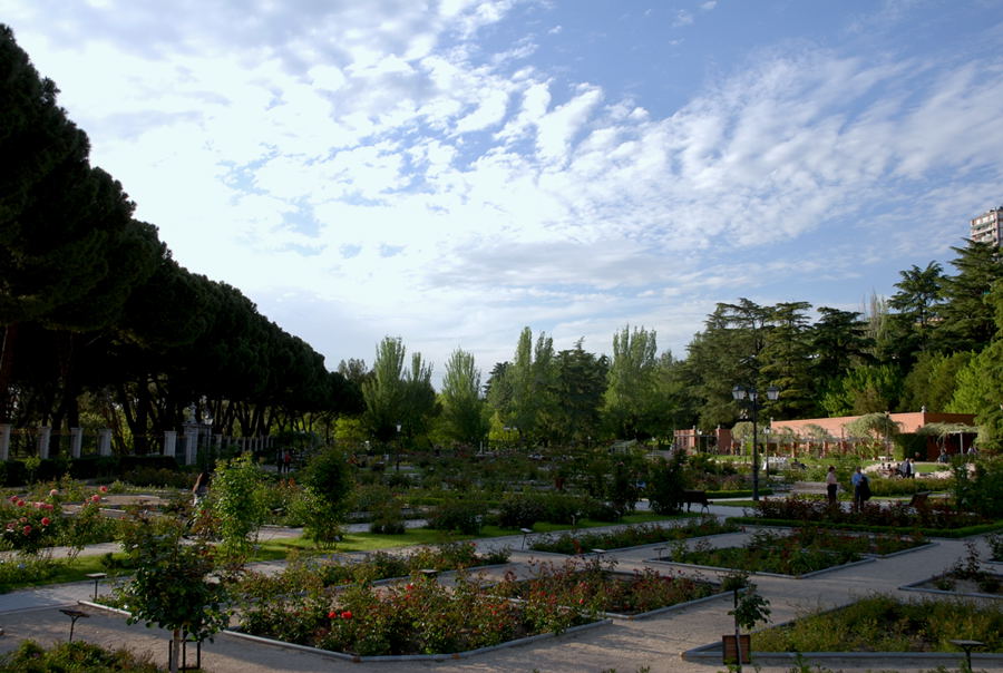 Foto de Madrid (Comunidad de Madrid), España