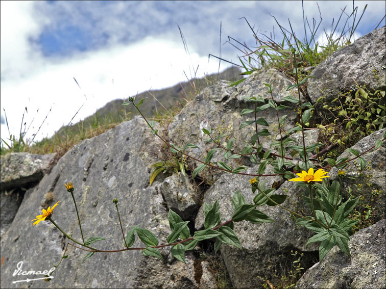 Foto de Machu Picchu, Perú