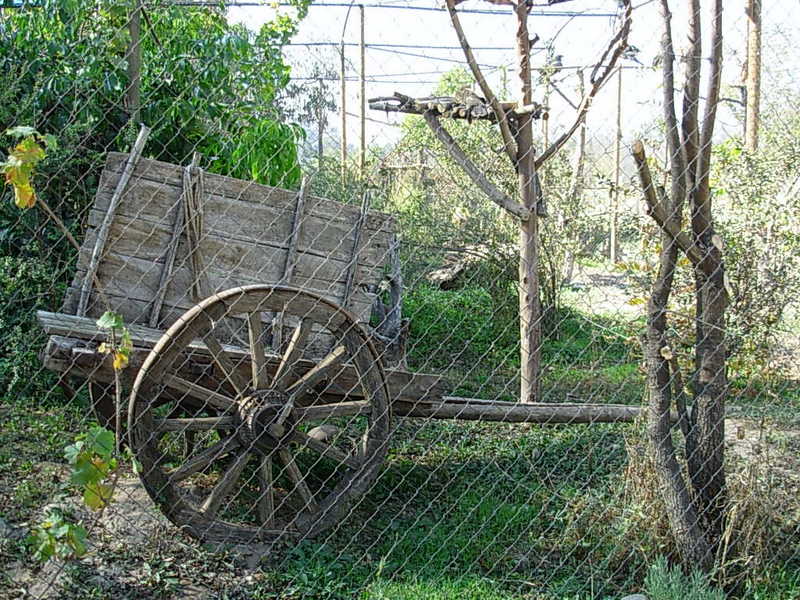 Foto de Buin, Chile