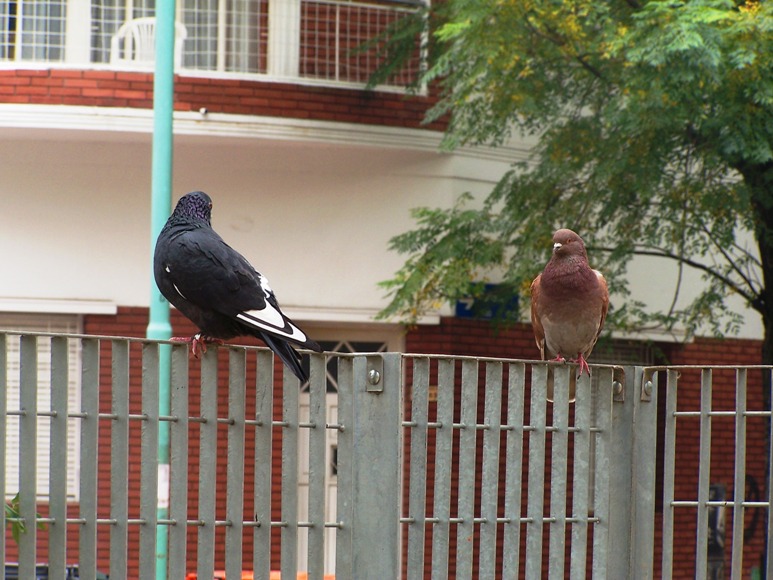 Foto de Buenos Aires, Argentina