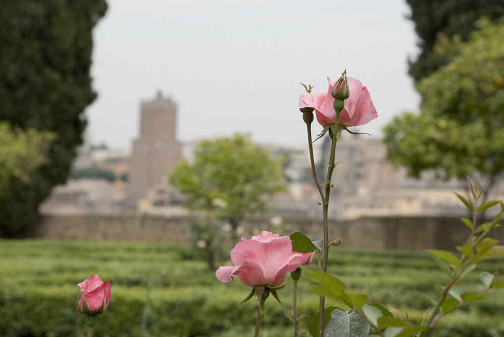 Foto de Roma, Italia