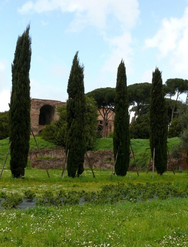 Foto de Roma, Italia