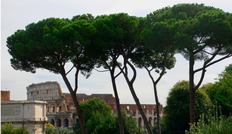 Foto de Roma, Italia