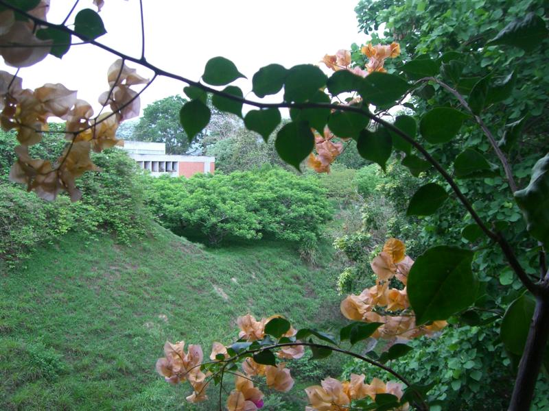 Foto de Carabobo - GüIgüe, Venezuela