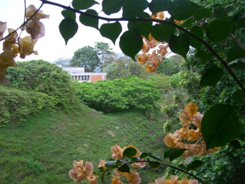 Foto de Carabobo - GüIgüe, Venezuela