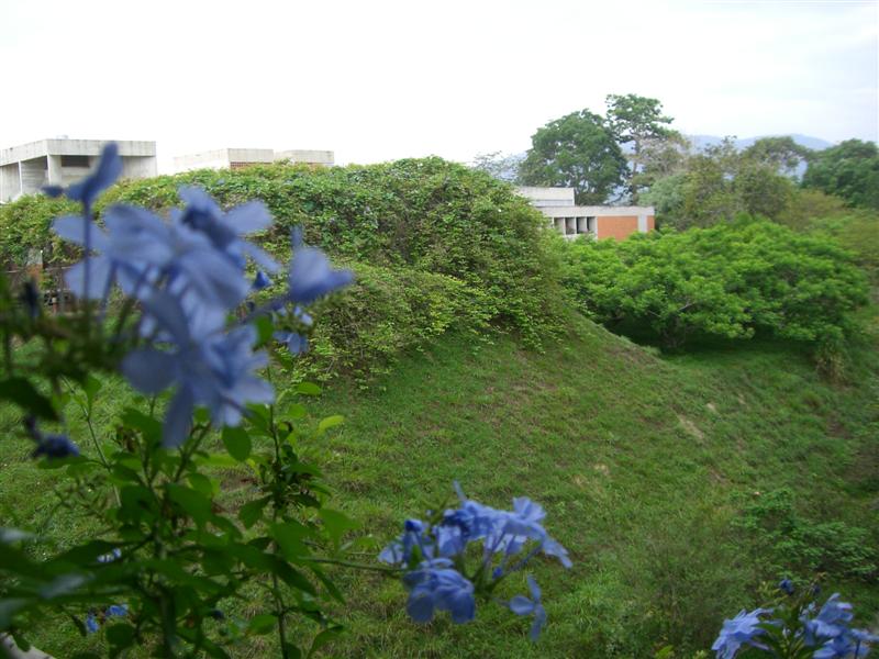 Foto de Carabobo - GüIgüe, Venezuela