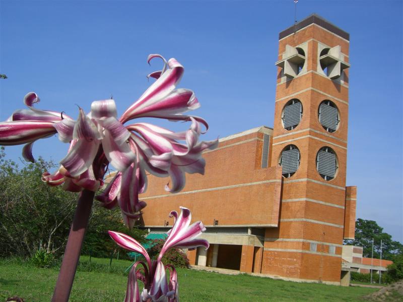 Foto de Carabobo - GüIgüe, Venezuela