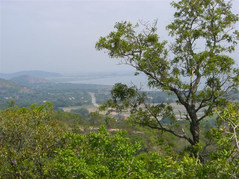 Foto de Carabobo - GüIgüe, Venezuela