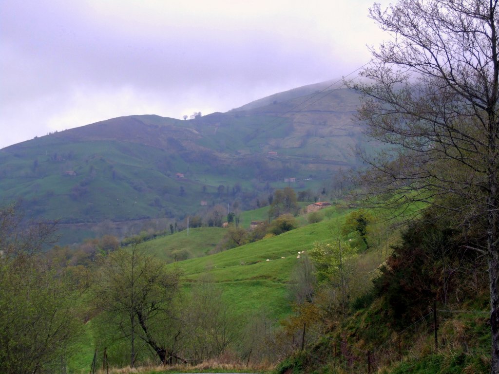 Foto de Coterillo (Cantabria), España