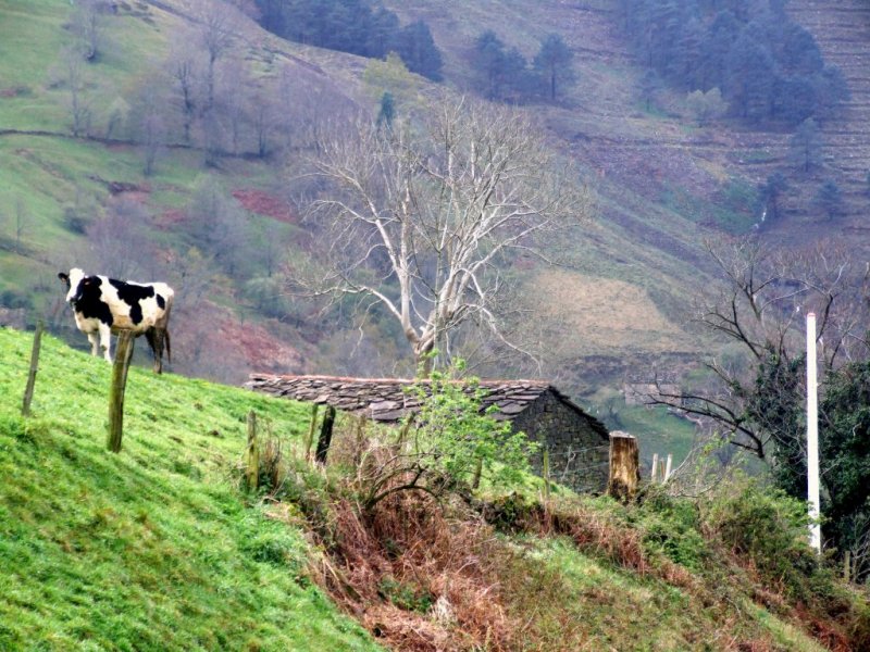 Foto de Coterillo (Cantabria), España