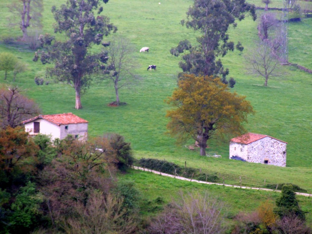 Foto de Esles de Cayon (Cantabria), España