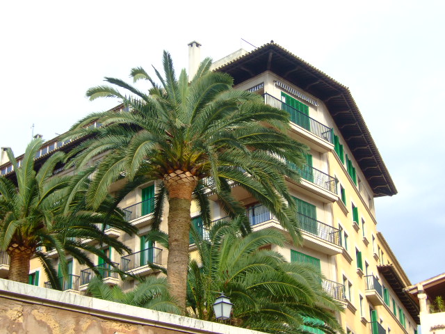 Foto de Palma de Mallorca (Illes Balears), España