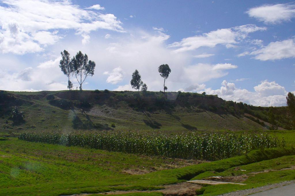 Foto de Huancayo, Perú