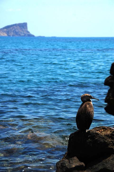 Foto de Sant Josep - Ibiza (Illes Balears), España