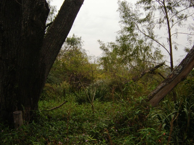 Foto de Acasusso, Buenos Aires, Argentina