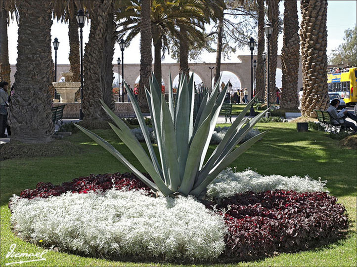 Foto de Arequipa, Perú