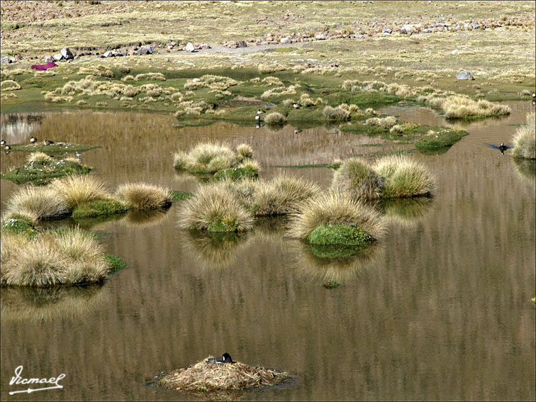 Foto de Arequipa, Perú