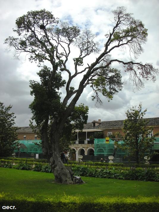 Foto de Aranjuez (Madrid), España