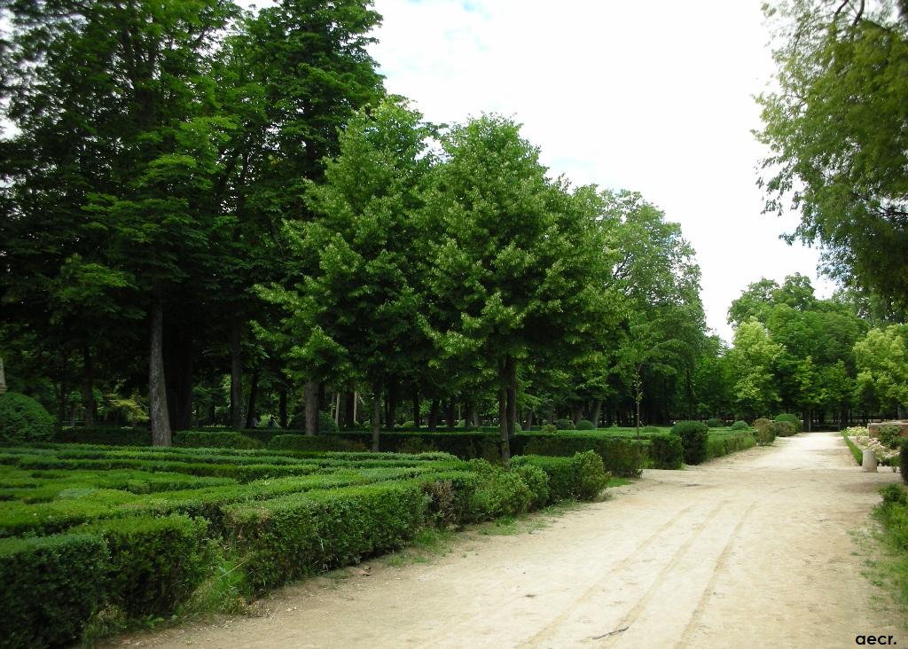 Foto de Aranjuez (Madrid), España