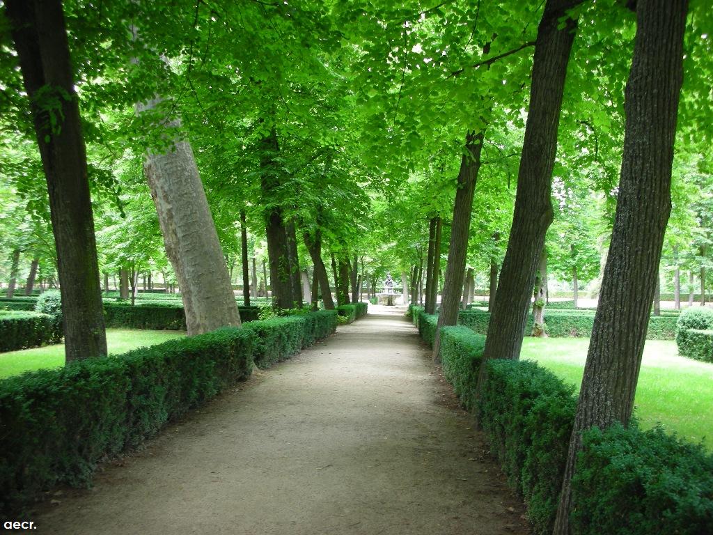 Foto de Aranjuez (Madrid), España