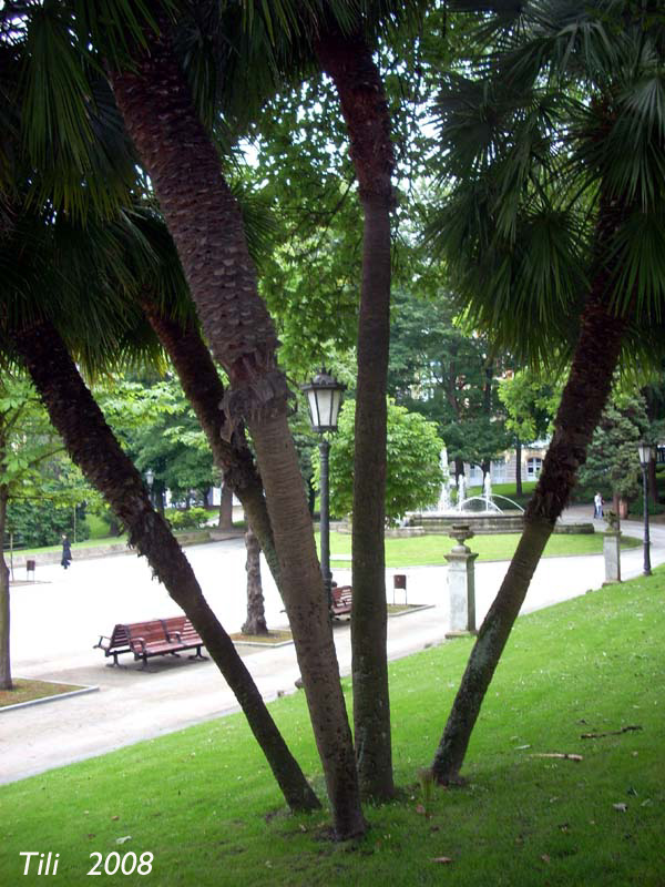 Foto de Oviedo (Asturias), España