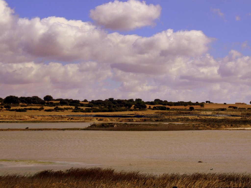 Foto de La Higuera (Albacete), España