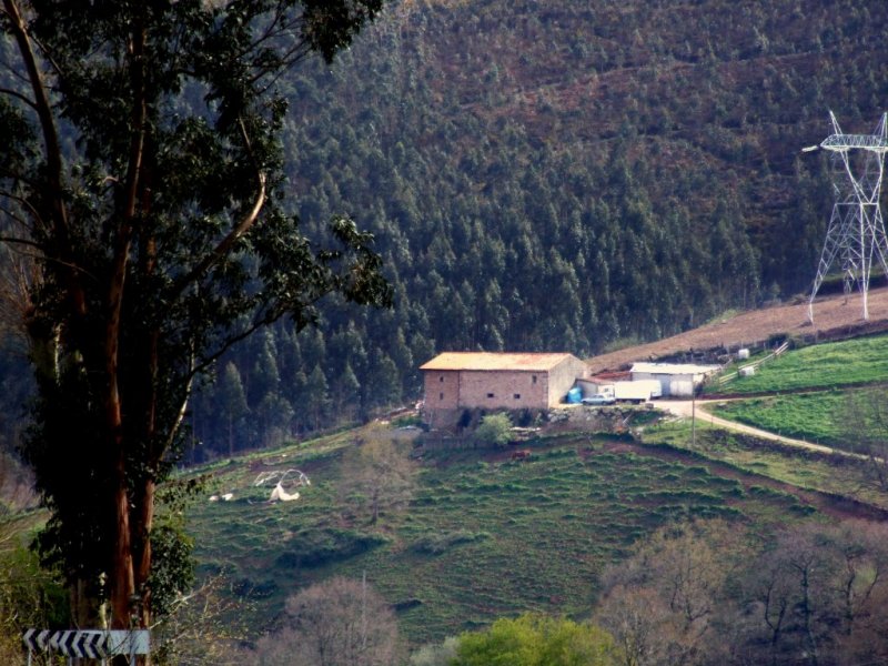 Foto de La Montaña (Cantabria), España