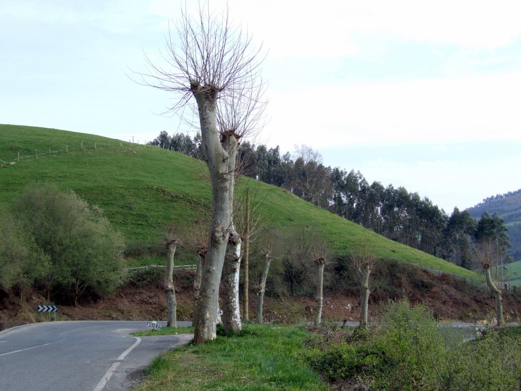 Foto de La Montaña (Cantabria), España