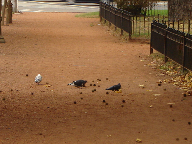 Foto de Buenos Aires, Argentina