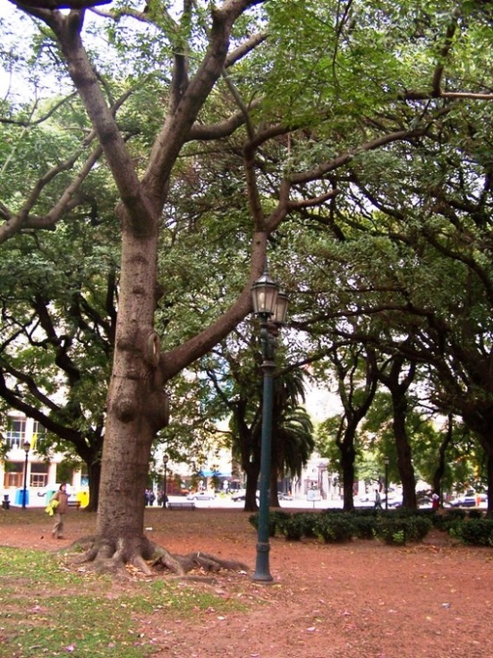 Foto de Buenos Aires, Argentina