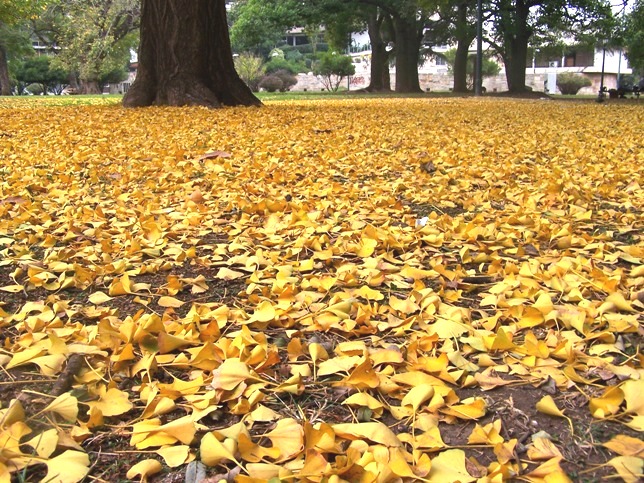 Foto de Buenos Aires, Argentina