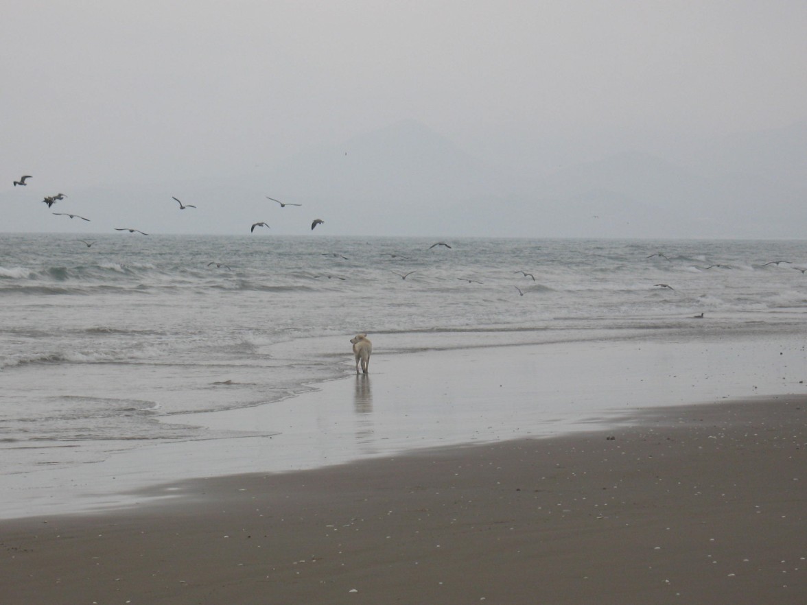 Foto de La Serena, Chile