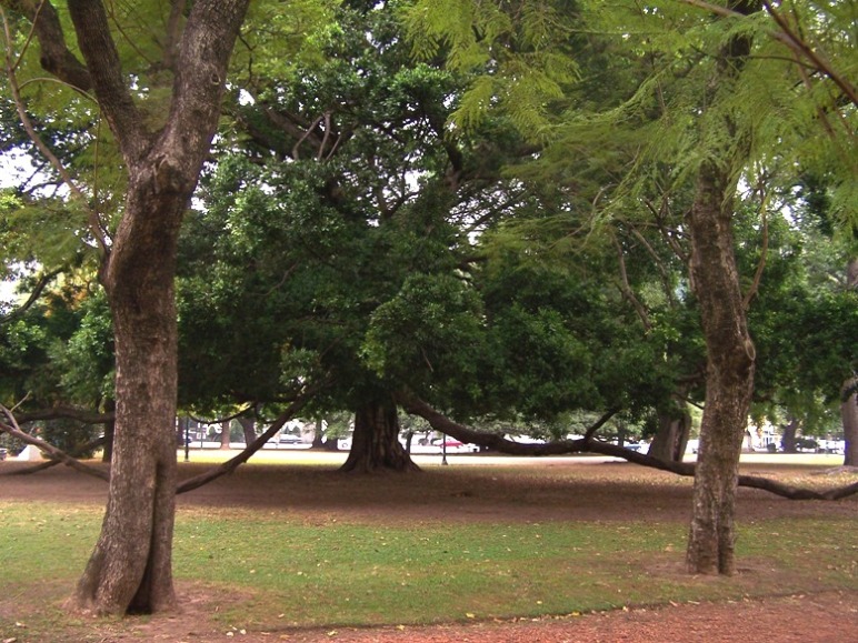 Foto de Buenos Aires, Argentina